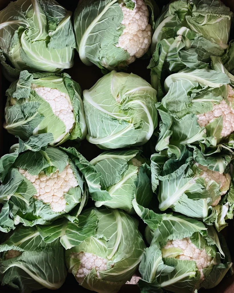 Fresh cauliflower heads