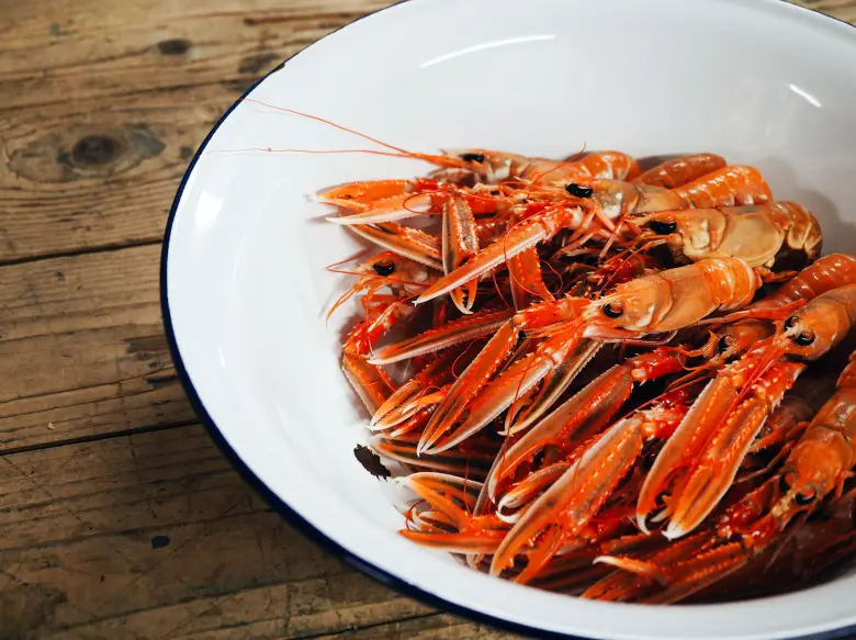 Plate with langoustines